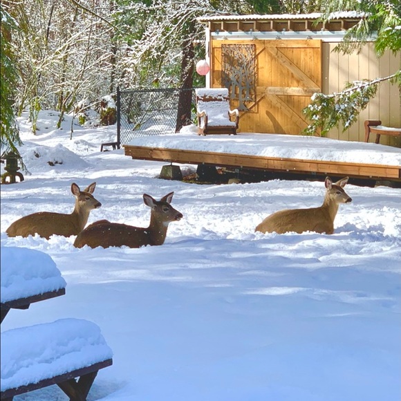 Meet your Posher, Daidre - Picture 7 of 15